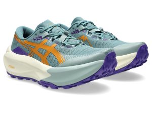 asics-trabuco-max 1012B937-400