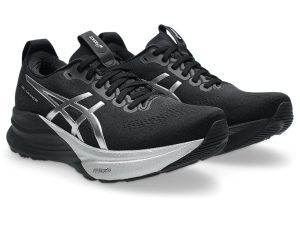 asics-gel-kayano 1012B979-001