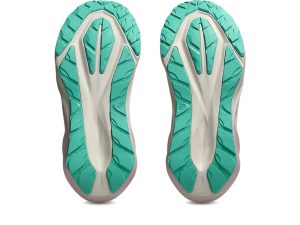 asics-novablast 1012B983-020