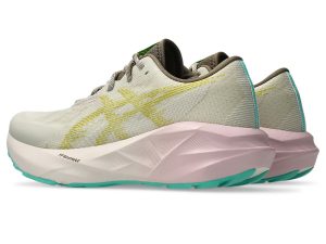 asics-novablast 1012B983-020