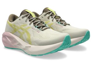 asics-novablast 1012B983-020