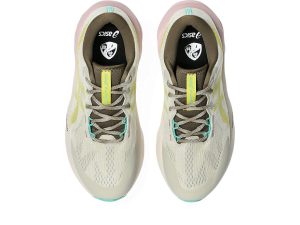 asics-novablast 1012B983-020