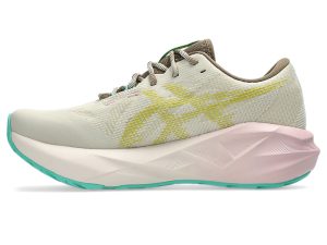 asics-novablast 1012B983-020