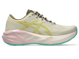 asics-novablast 1012B983-020