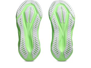 asics-novablast 1012B991-300