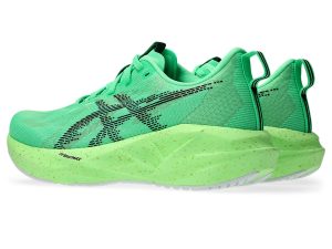 asics-novablast 1012B991-300