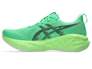 asics-novablast 1012B991-300
