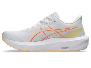 asics-gt-1000 1012B994-100