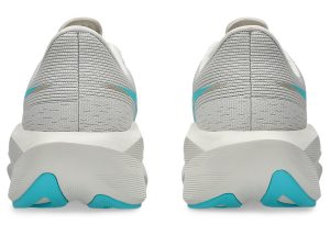asics-novablast 1012C008-250