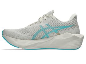 asics-novablast 1012C008-250