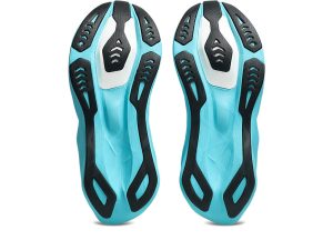 asics-novablast 1012C008-400