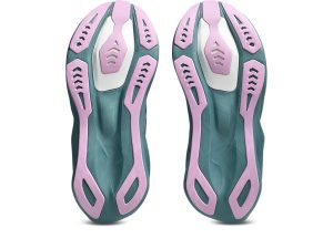 asics-novablast 1012C008-401