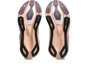 asics-novablast 1012C008-500