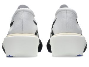 asics-metaspeed-sky 1013A162-101