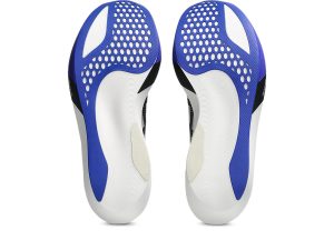 asics-metaspeed-sky 1013A162-101