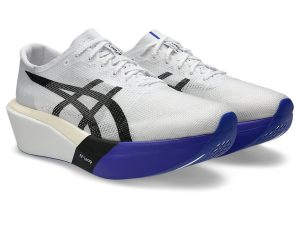 asics-metaspeed-sky 1013A162-101