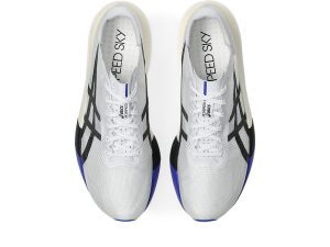 asics-metaspeed-sky 1013A162-101