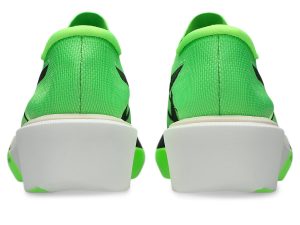 asics-metaspeed-sky 1013A162-300