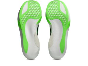 asics-metaspeed-sky 1013A162-300