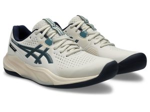 asics-gel-challenger 1041A509-250
