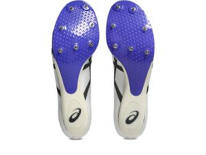 asics-metaspeed 1093A234-101