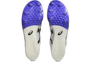 asics-metaspeed 1093A255-101