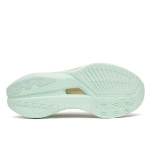 saucony-endorphin-speed-5 S11007-110