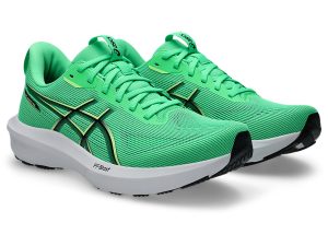 asics-gt-1000 1011C077-300