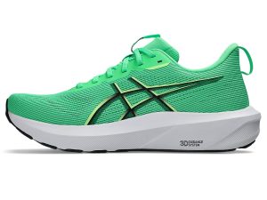 asics-gt-1000 1011C077-300