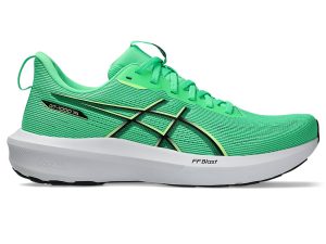 asics-gt-1000 1011C077-300