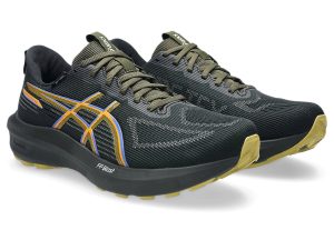 asics-gt-1000 1011C078-001