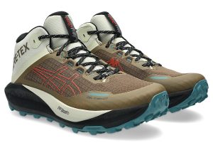 asics-gt 1011C085-200