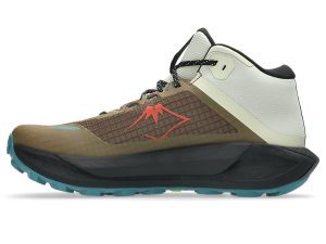 asics-gt 1011C085-200