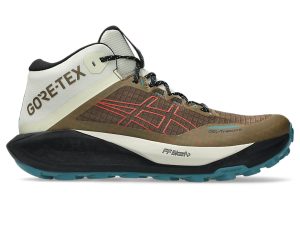 asics-gt 1011C085-200
