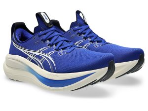 asics-gel-nimbus 1011C127-405