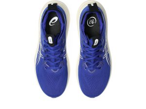 asics-gel-nimbus 1011C127-405