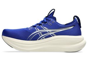 asics-gel-nimbus 1011C127-405
