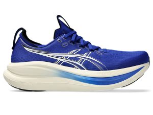 asics-gel-nimbus 1011C127-405