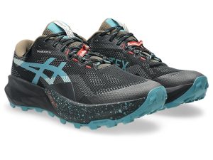 asics-gt 1011C165-002