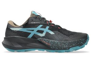 asics-gt 1011C165-002