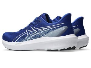 asics-gt-1000 1011C230-400