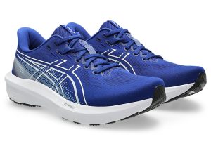 asics-gt-1000 1011C230-400