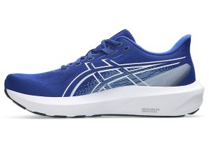asics-gt-1000 1011C230-400