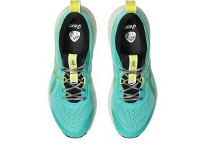 asics-gel-pulse 1011C283-300