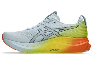 asics-gel-kayano 1011C284-400