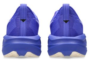 asics-novablast 1012B765-403
