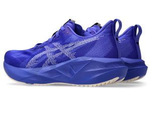 asics-novablast 1012B765-403