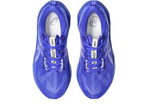 asics-novablast 1012B765-403