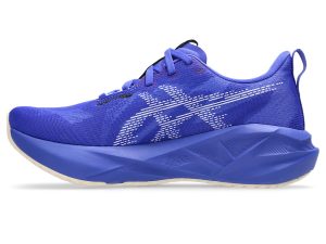asics-novablast 1012B765-403