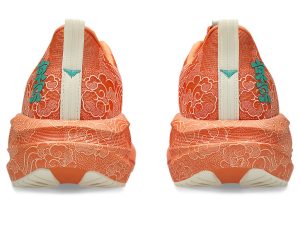 asics-novablast 1013A206-700